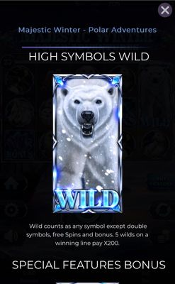 Wild Symbol