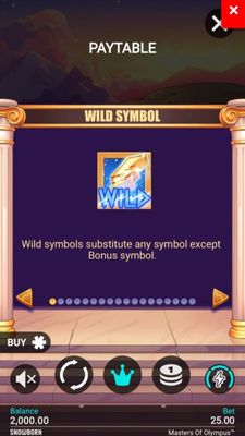 Wild Symbol