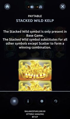 Wild Symbol