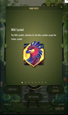 Wild Symbol