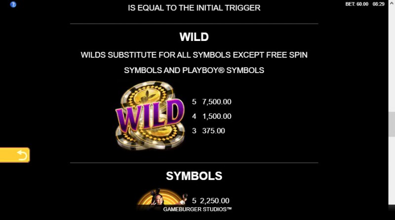 Wild Symbols Rules