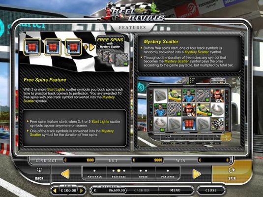 Free Spins Feature Rules