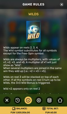 Wild Symbol