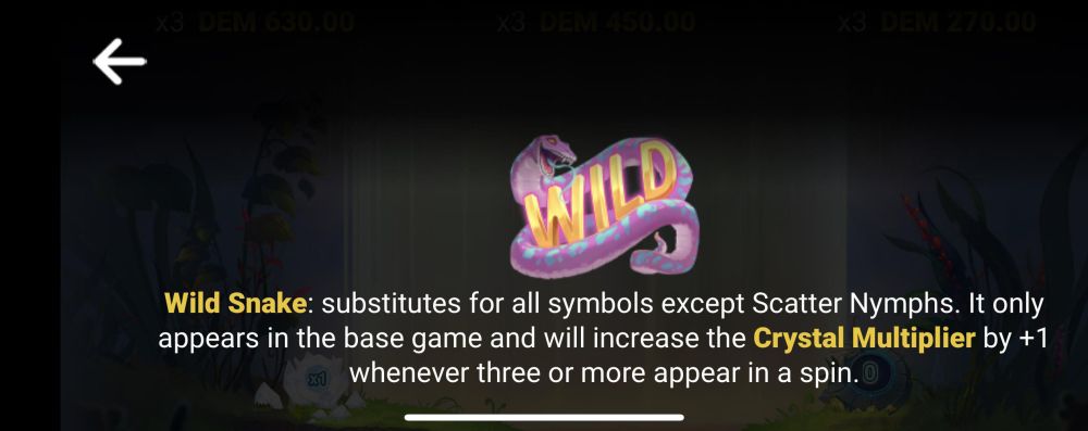 Wild Symbol