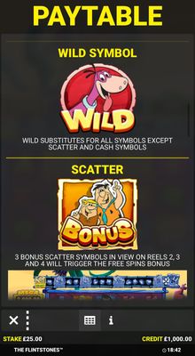 Wild and Scatter Rules