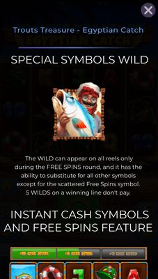 Wild Symbol