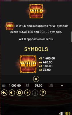 Wild Symbol