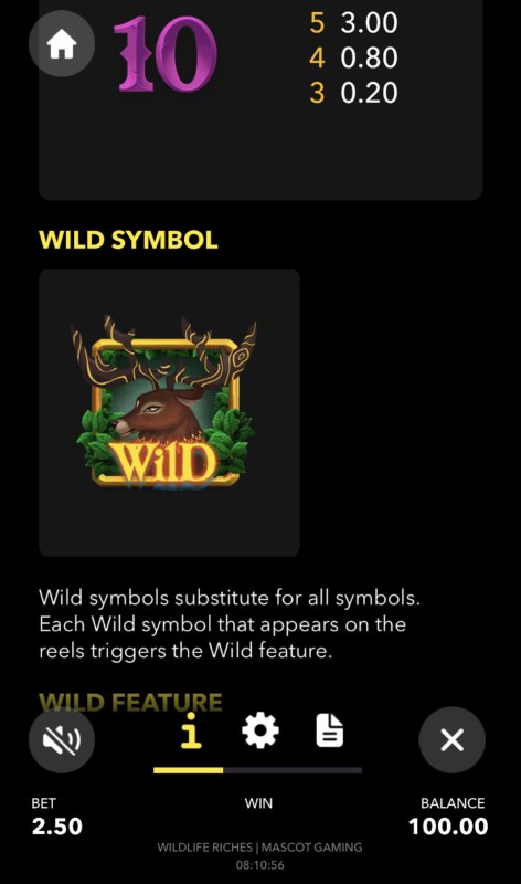 Wild Symbol