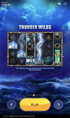 Thunder Wilds